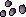 Belladonna seed 4.png